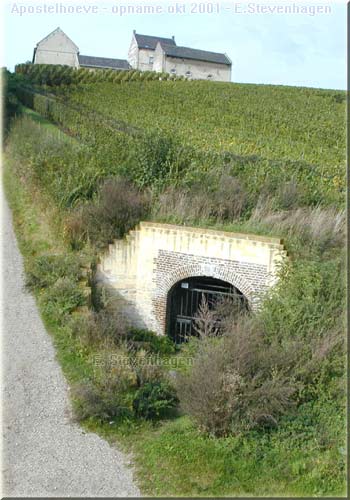 Apostelgroeve - ondergrondse mergelgroeve