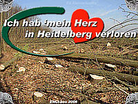 Enci-bos op de Mergelsberg